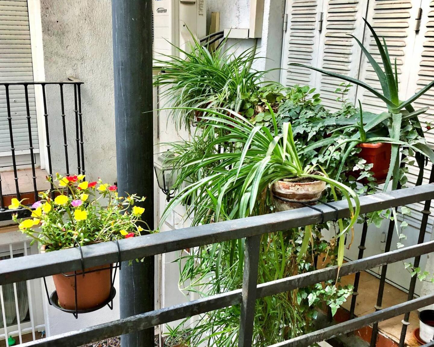Los Flamencos, Malasana Loft Madrid 45Mq Dış mekan fotoğraf