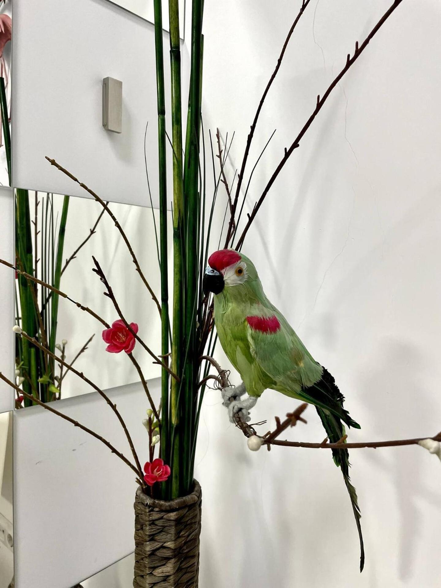 Los Flamencos, Malasana Loft Madrid 45Mq Dış mekan fotoğraf
